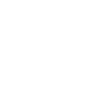 budget