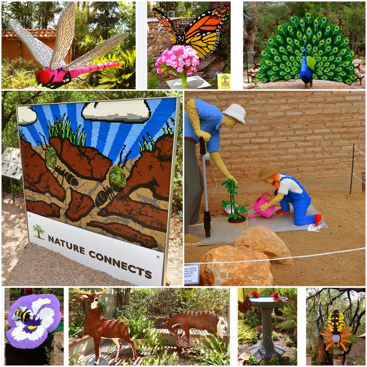 tucson Construction Manager