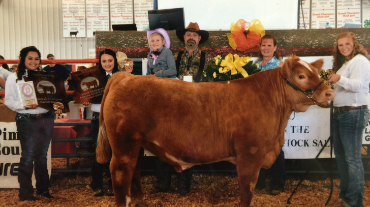 building construction contractor az